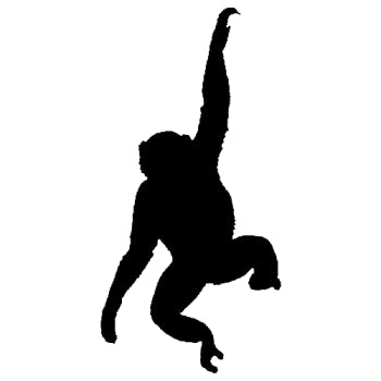 Efficient Market Hypothesis