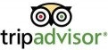 Tripadvisor Inc (NASDAQ:TRIP)