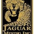 Jaguar Mining Inc (USA) (JAG): Insiders Aren't Crazy About It