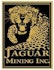 Jaguar Mining Inc (USA) (JAG): Insiders Aren't Crazy About It