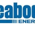Peabody Energy Corporation (BTU), Cloud Peak Energy Inc. (CLD), CONSOL Energy Inc. (CNX): Everybody's Doing It