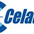 Celadon Group, Inc. (CGI), Knight Transportation (KNX): Where Is the Growth in Transportation?