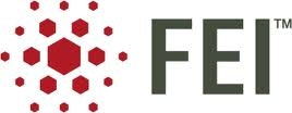 FEI Company (NASDAQ:FEIC)