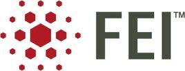 FEI Company (NASDAQ:FEIC) 