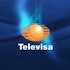 Grupo Televisa (TV) Shows Stronger Cash Generation but Faces Growth Headwinds and Credit Downgrade