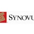 Synovus Financial Corp. (SNV) and Wells Fargo & Co (WFC) Amongst Basswood Capital’s Top Picks For Q2