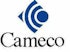 Is Cameco Corporation (USA) (CCJ) Going to Burn These Hedge Funds?