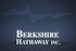Berkshire Hathaway Inc. (BRK.A), The AES Corporation (AES): The S&P 500 (.INX)'s 5 Most Loved Stocks