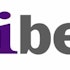 Hedge Funds Are Selling CIBER, Inc. (CBR)