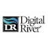 Digital River, Inc. (DRIV): Hedge Funds Are Bearish and Insiders Are Bullish, What Should You Do?