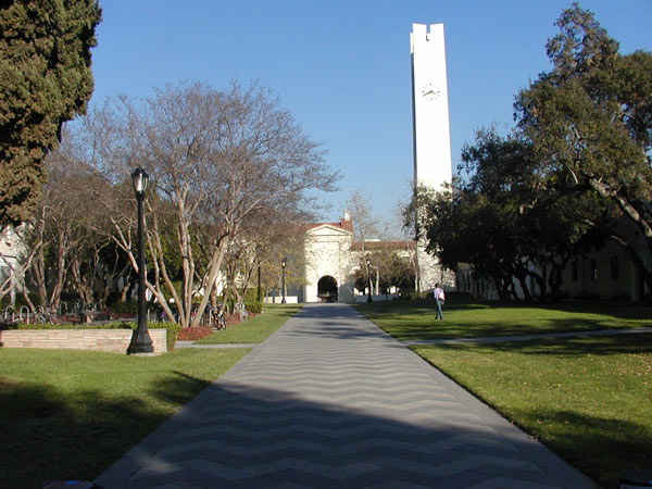 25 Best Colleges to Get a Job