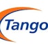Should You Avoid Tangoe Inc (TNGO)?