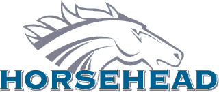HORSEHEAD HOLDING CORP. (NASDAQ:ZINC)