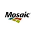 Mosaic Co (MOS): Insiders Are Buying, Should You?