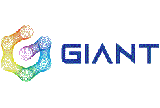 Giant Interactive Group Inc