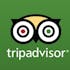 Bernstein Affirms Outperform Stance as Tripadvisor, Inc. (TRIP) Downplays Viator Spinoff Calls