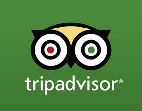 Tripadvisor Inc (NASDAQ:TRIP)