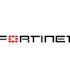 Is Fortinet Inc (FTNT) Going to Burn You?