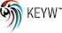 Do Hedge Funds and Insiders Love KEYW Holding Corp. (KEYW)?