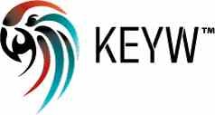 KEYW HOLDING CORP