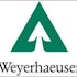 Why Weyerhaeuser Company (WY) Earnings Could Soar Higher