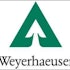 Do Hedge Funds and Insiders Love Weyerhaeuser Company (WY)?