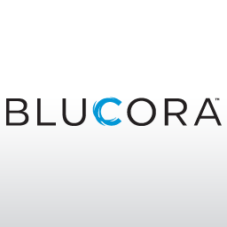 Blucora Inc (NASDAQ:BCOR)