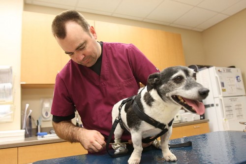 USMC-110328-M-2306T-045