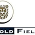 Gold Fields Limited (ADR) (GFI): Are Hedge Funds Right About This Stock?