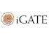 Hedge Funds Are Dumping iGATE Corporation (IGTE)