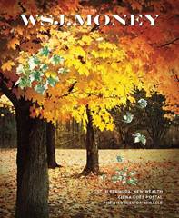 WSJ Money Fall 2013