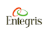 Should You Buy Entegris Inc (ENTG)?