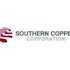Should You Avoid Southern Copper Corp (SCCO)?
