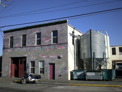 Apparel Knitting Mills