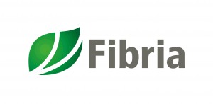 Fibria Celulose