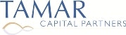 Tamar European Industrial Fund Ltd (LON:TEIF)