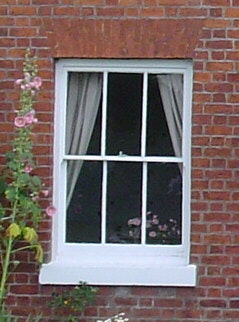 Window