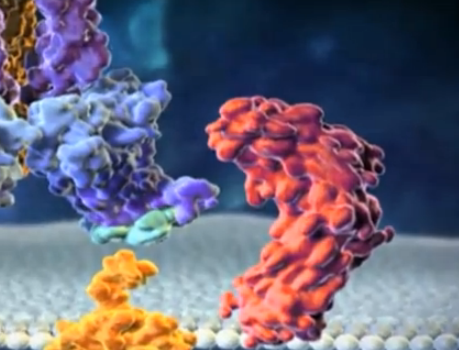 Top 6 Medical Advances of the Year 2013