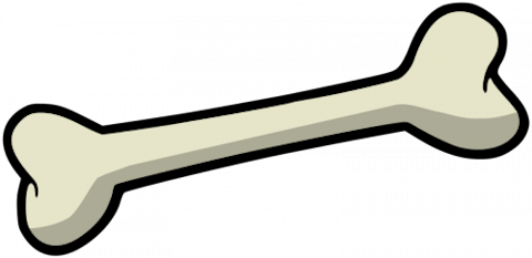 most expensive medical procedures