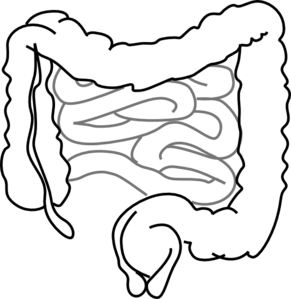 most expensive medical procedures