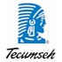 Roumell Asset Management Dumps Tecumseh Products Company (TECUA)