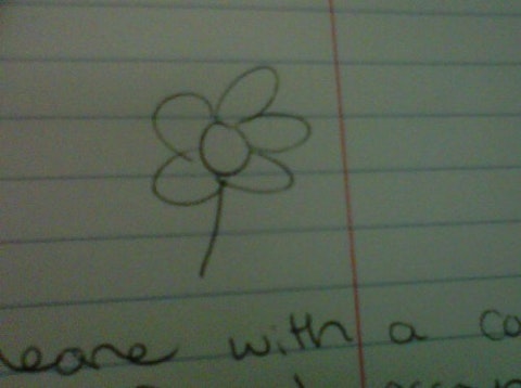 Flower_on_yellow_pad