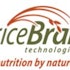 Sabby Capital Reveals New 7.3% Stake In RiceBran Technologies (RIBT)