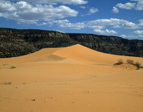 Coral Pink Sand Dunes Utah
