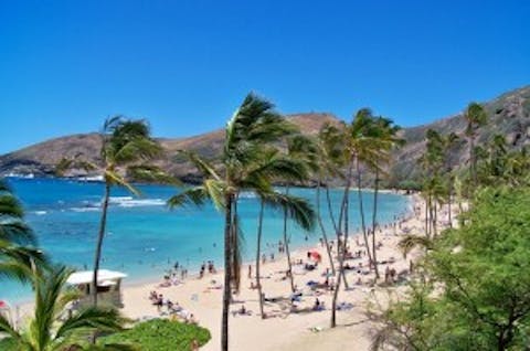 hawaii-bay-beach