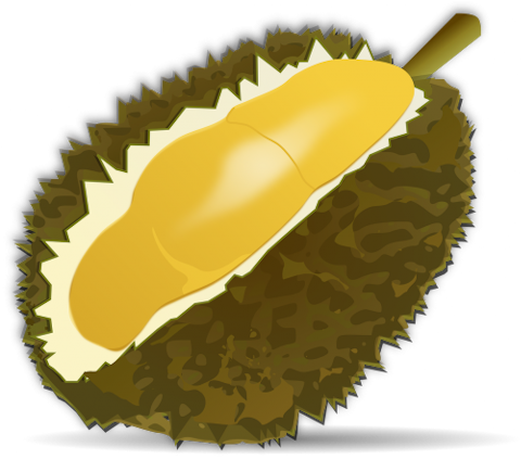 Top 10 Foods to Eat Before You Die