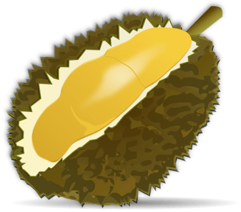 Top 10 Foods to Eat Before You Die