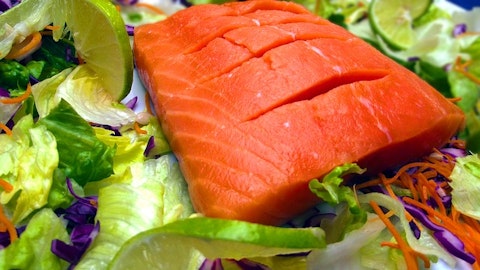 salmon-fish