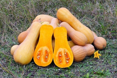 squash