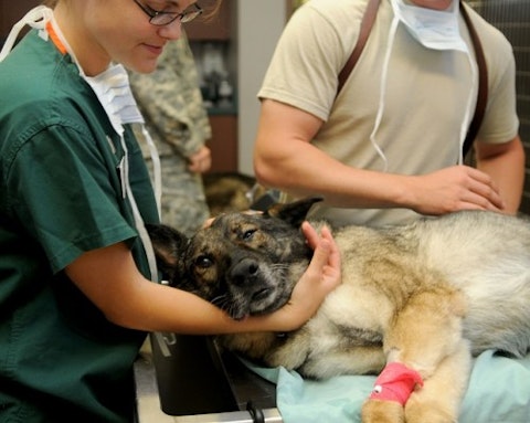 veterinary-85925_640